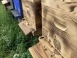 Mes ruches gérées avec une apiculture énergétique respectueuse de la nature.